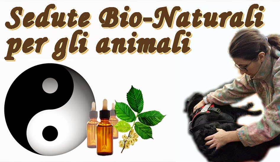 Metodi bio-naturali per gli animali