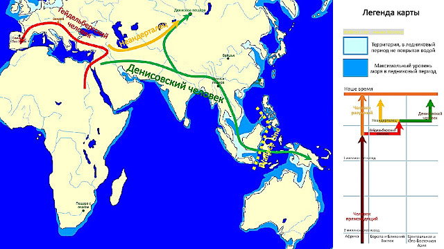 Эволюция и географическое распространение денисовцев по сравнению с другими группами