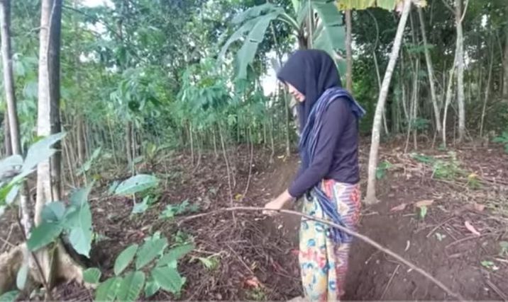 Photo Gadis Cantik Berjilbab Hitam Sendirian di Kebun Kebenaran