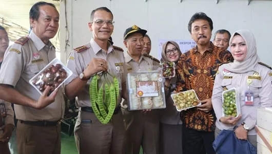 Jengkol Hingga Petai Diekspor, Nilainya Tembus Rp 1,26 T