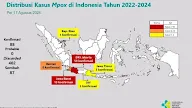 Ada 88 Kasus Mpox 'Cacar Monyet' di Indonesia, Ini Varian yang Menyebar