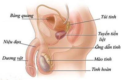 truoc khi di kham nam khoa can lam nhung gi