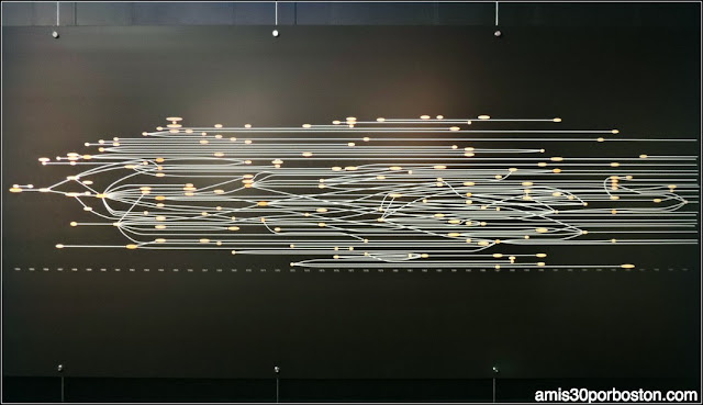 Computer History Museum: Magnetic Core Memory