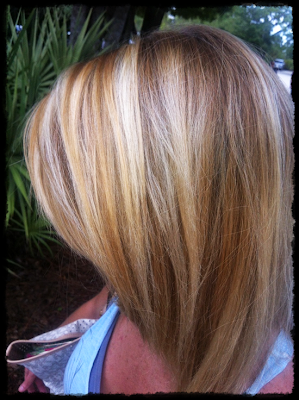 Blonde Highlights and Lowlights 3