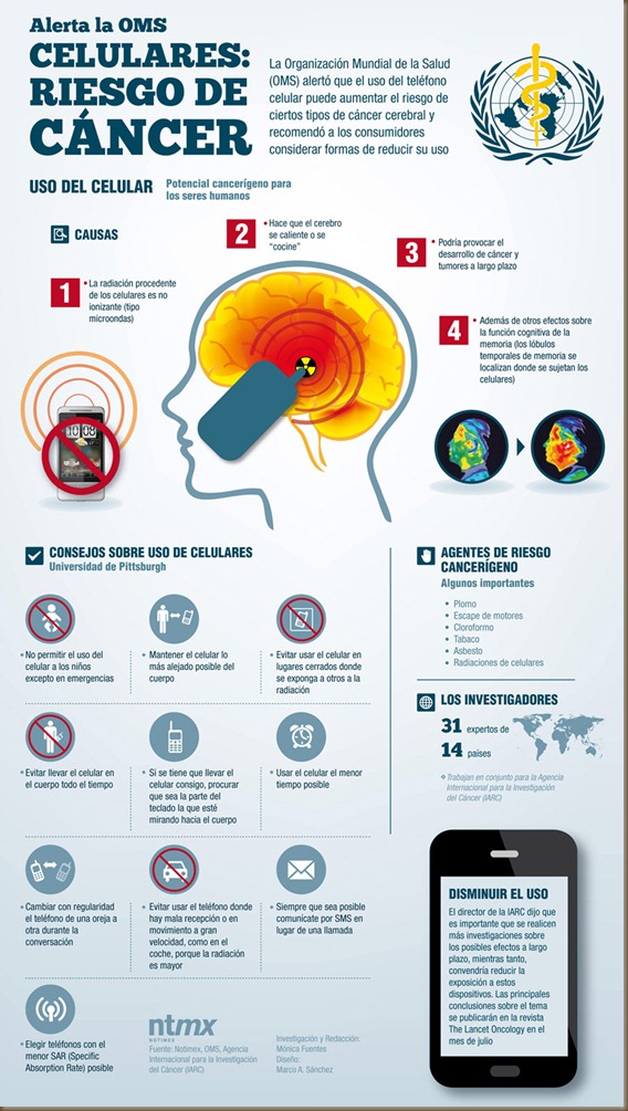 INFOGRAFICO