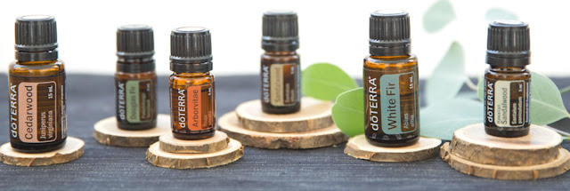 óleos-essenciais-amadeirados-doterra