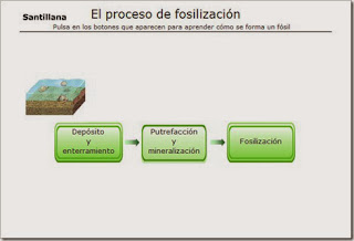 http://www.e-vocacion.es/files/html/238095/recursos/libro_alumno/Recursos/238095_P098_1/visor.html
