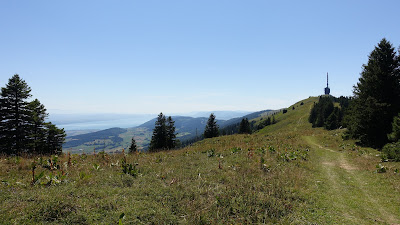 Die Antenne ist schon wieder recht klein geworden...