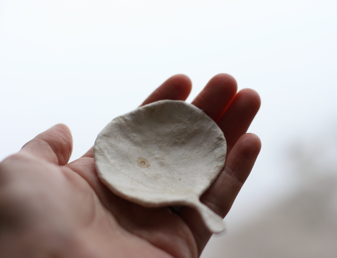 Emptynes(t), 2010. hair, paper & wire. 8 x 5.8 x 1.6 cm spoon dimensions