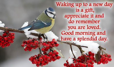 Good Morning Quotes For Friends: waking up to a new day is a gift, appreciate it and do remember you loved 