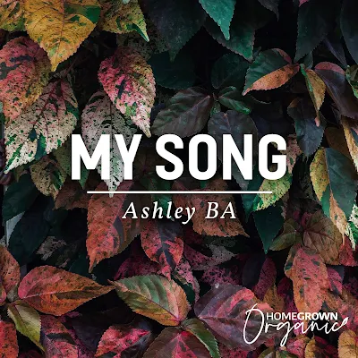 MY SONG - Ashley BA Music