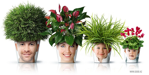 MACETAS CON CARAS MACETAS CON ROSTROS via http://terrazasyjardines.blogspot.com