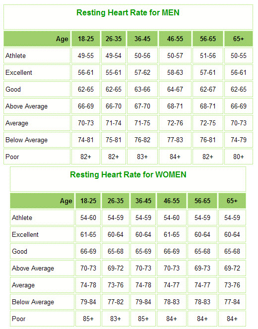 Heart Rate Guidelines During Exercise