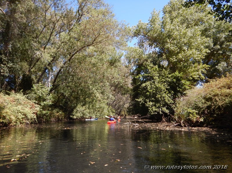 Kayak río Palmones