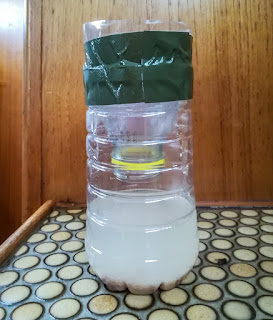 Photo of my homemade fly trap