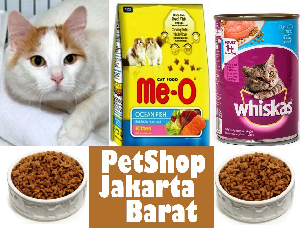 Daftar PetShop Jakarta Barat yang Bagus