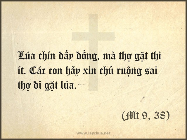 Lúa chín đầy đồng, mà thợ gặt thì ít. Các con hãy xin chủ ruộng sai thợ đi gặt lúa. (Mt 9, 38)