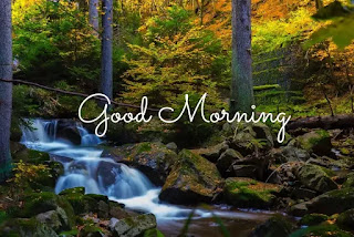 30 + Awesome Good morning pictures download