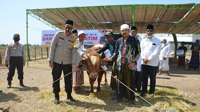 Kapolres Situbondo Serahkan Hewan Kurban Untuk Dua Pesantren Dari Kapolda Jatim