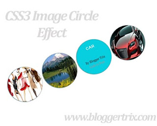 Awesome CSS3 Image Circle Hover Effect For Blogger