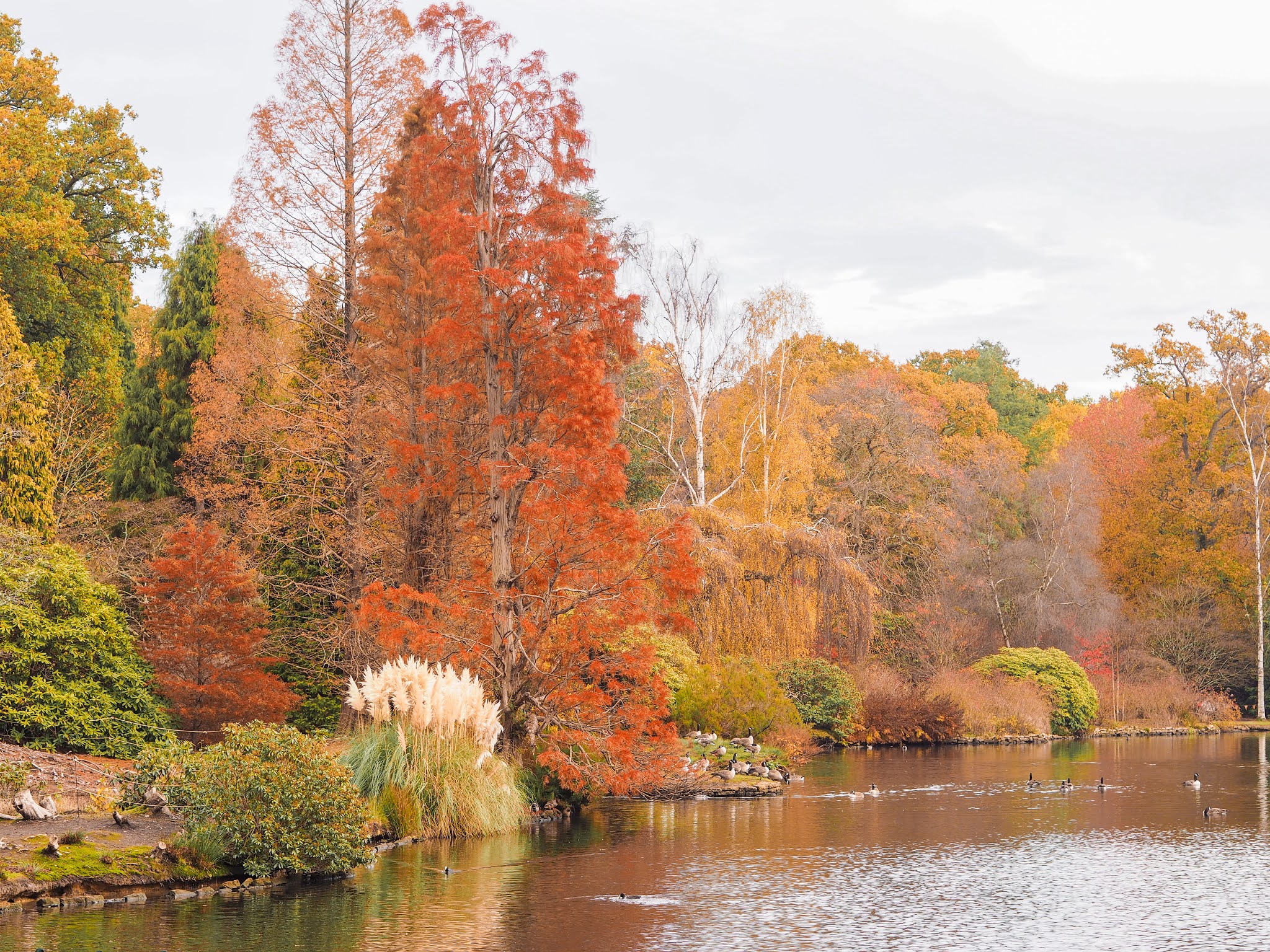 Autumn Colour at Sheffield Park, Katie Kirk Loves, UK Blogger, Autumn Photography, National Trust, UK Gardens, Sussex UK, Sheffield Park and Gardens, Fall Photography, Autumn Leaves, Autumn Colour, Autumn Fashion