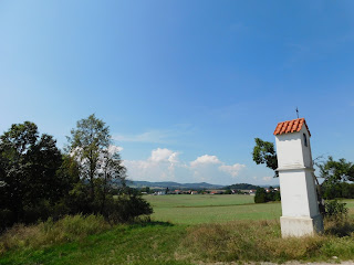 Obrázek