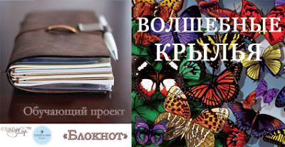 Номинация за розовый блокнот с бабочками.