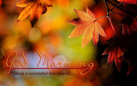 have-a-wonderful-day-good-morning