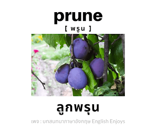 prune - ลูกพรุน