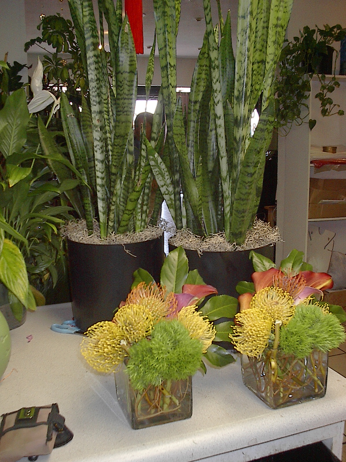 las flowering vines for vegas Las HP Vegas Discover 2012 Vegas Show Las Flowers, Event Florists: