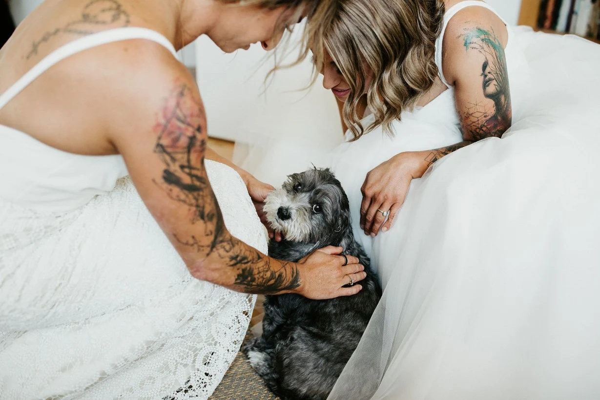 MELBOURNE WEDDING DAN BRANNAN PHOTOGRAPHY