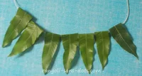 How-to-make-toran-with-mango-leaves-0209ac.jpg