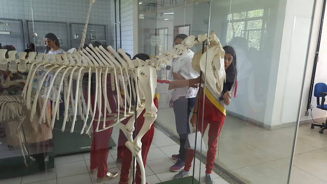 Nos dias 14 e 15 de agosto, os alunos do CSJD interagiram de forma consciente e prática com o projeto Educando e conscientizando: Uma visão preventiva a partir de ações educativas da universidade rural federal de Pernambuco