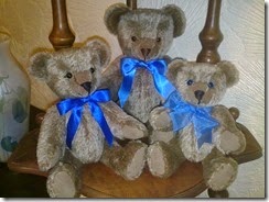 Brown Bears Short Pile Mohair 3