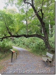 Augusta Wetlands 016