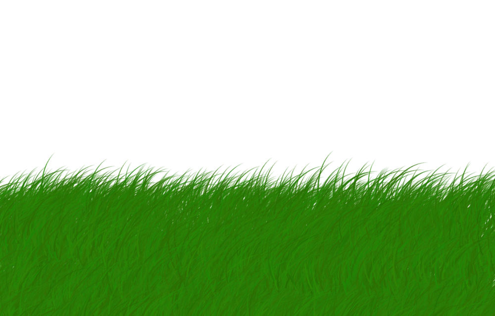 Bentuk bentuk rumput  Hdesign