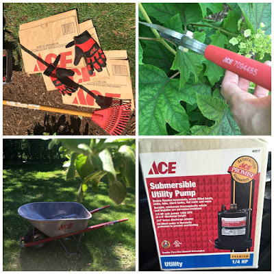 products from ace hardware store