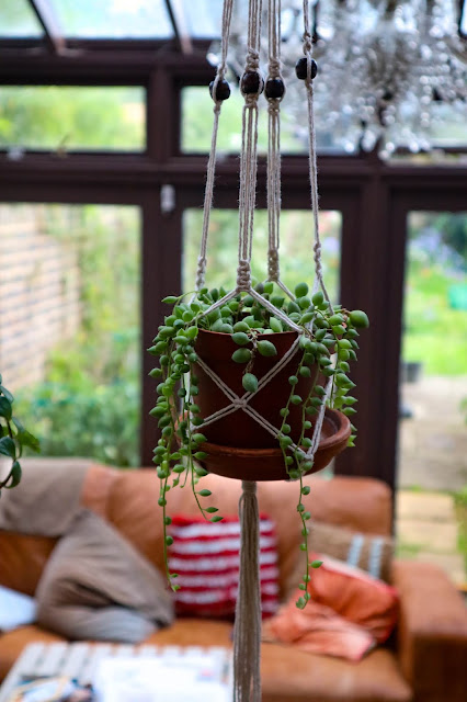 Macramé Pot Hanger