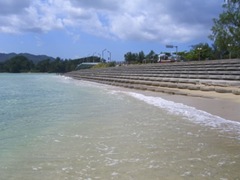 CIMG2446