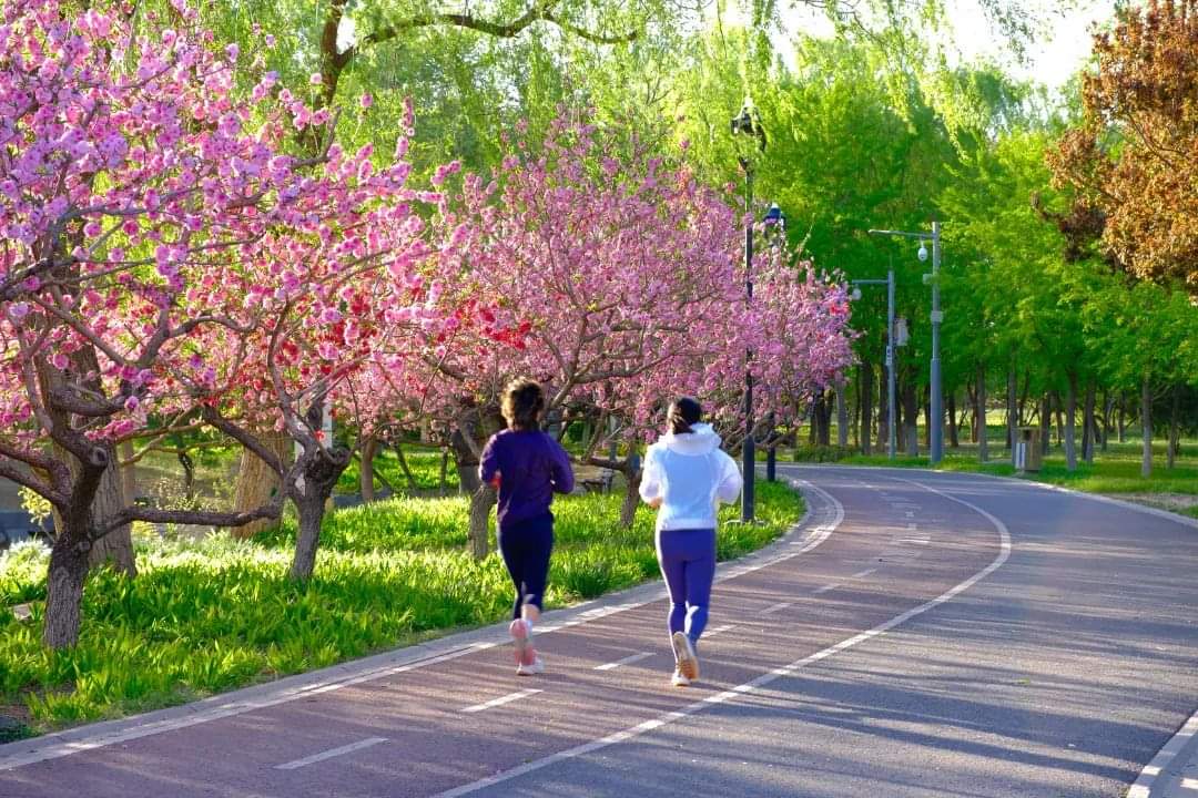 Beijing E-Town in Spring: A Blend of Nature, Progress, and Festivities