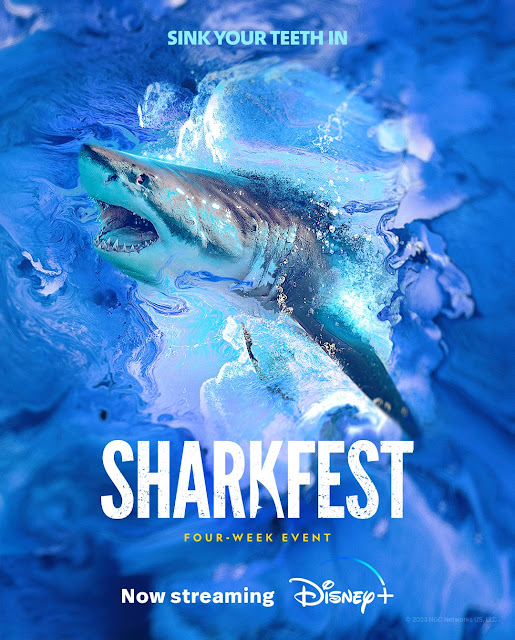 Shark lovers, this is your moment. 🦈  #SharkFest is now streaming on #DisneyPlus!