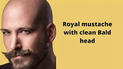 Royal Mustache with Bald head Hair cut