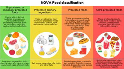 nova food classification system