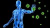 The Immune System Explained Briefly