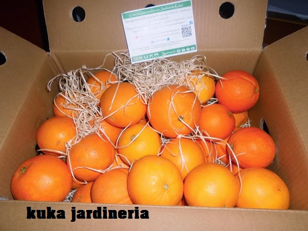 caja de naranjas de jardinería kuka