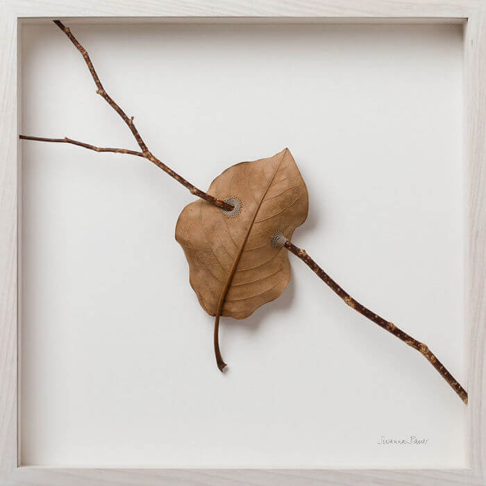 Crocheter Transforms Dried Leaves Into Works Of Art