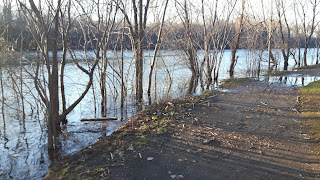 Sentier inondé, parc de la Visitation, rivière des Prairies, crue printanière