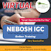 NEBOSH IGC ONLINE COURSE IN UAE- VIRTUAL/LIVE TRAINING 