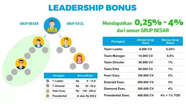 leadership bonus synergy