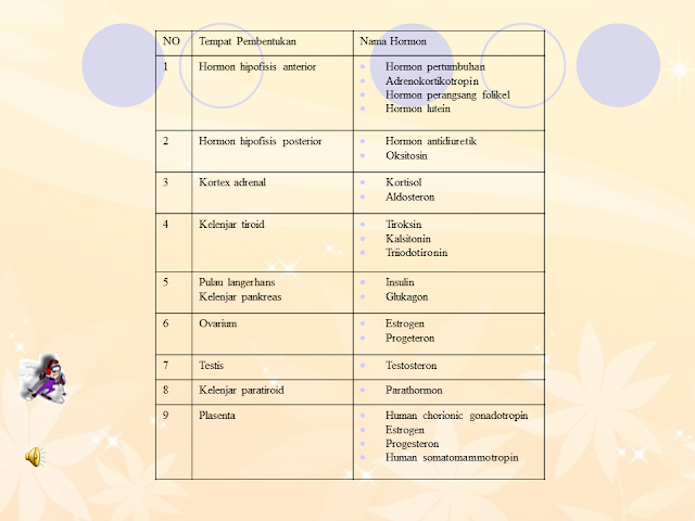 The Endocrine System